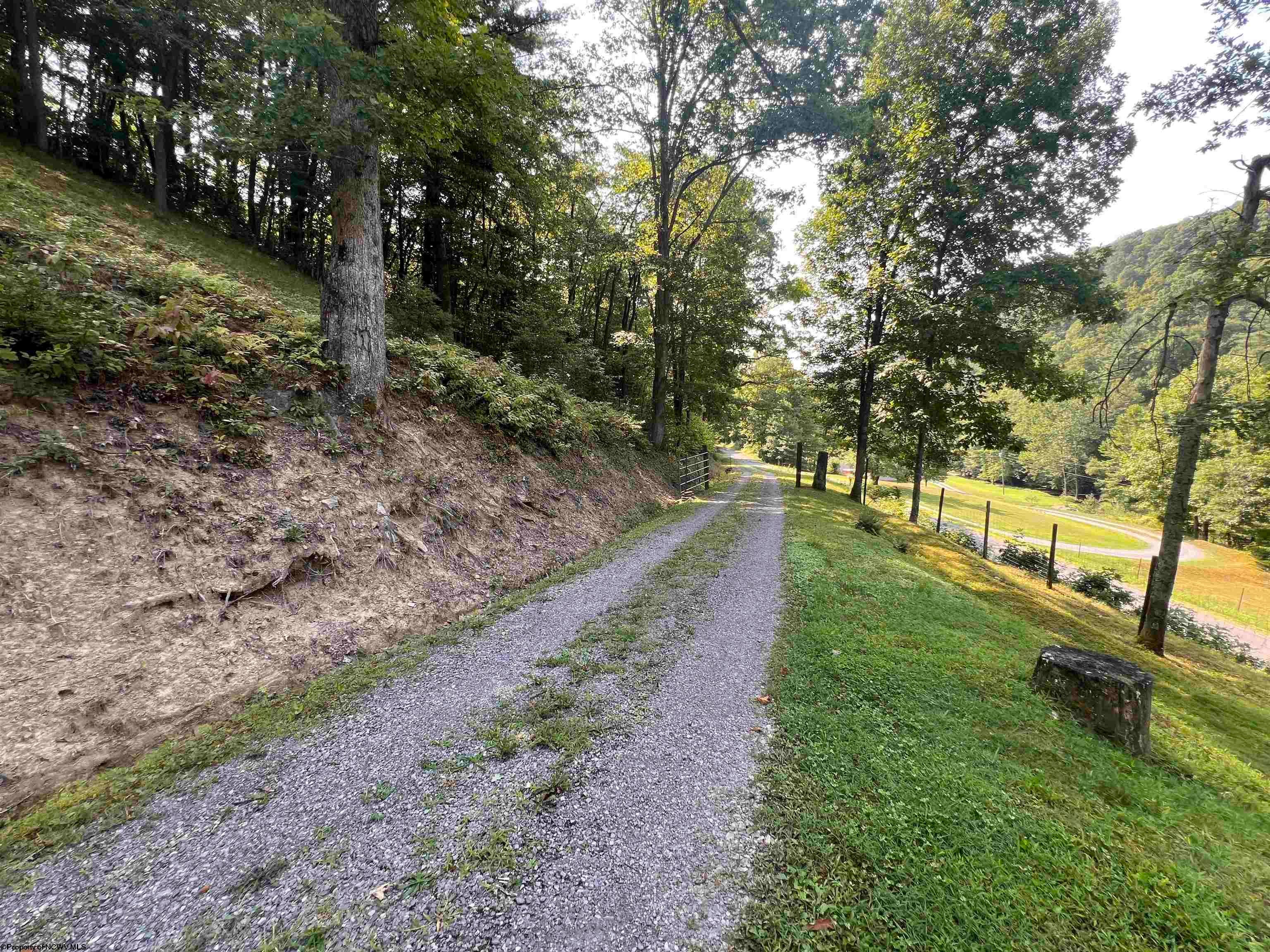 6176 Clover Run Road Parsons, WV 26287 - Photo 32 of 36 Gallery Image 32