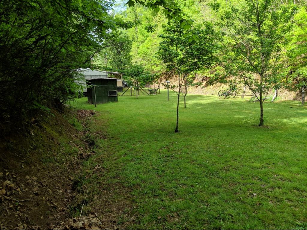 389 Jenkins Road Bluff City, TN 37618 - Photo 6 of 19 Photo 6