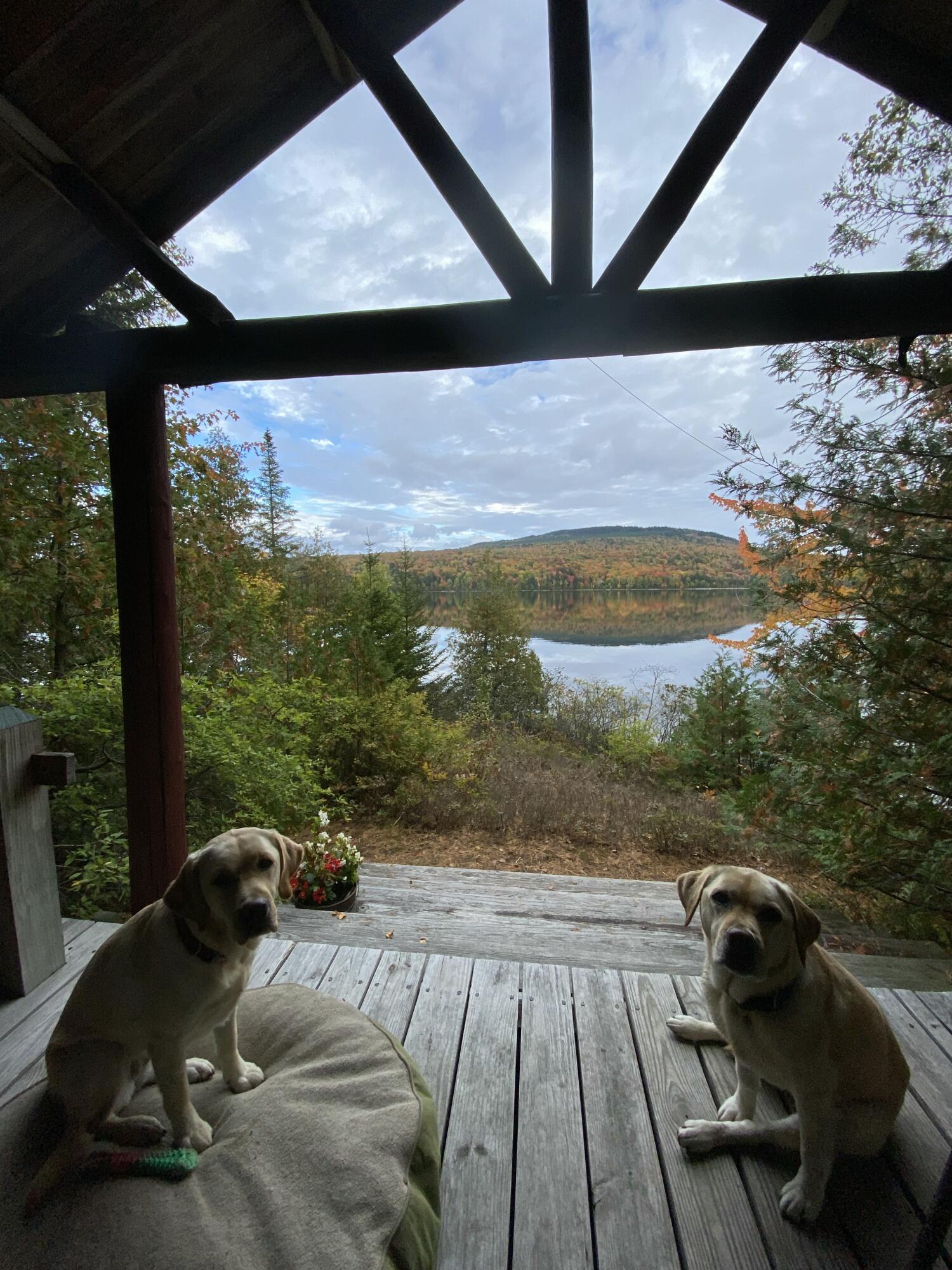 14 Innisfree Road Jackman, ME 04945 - Photo 133 of 151 IMG_9600