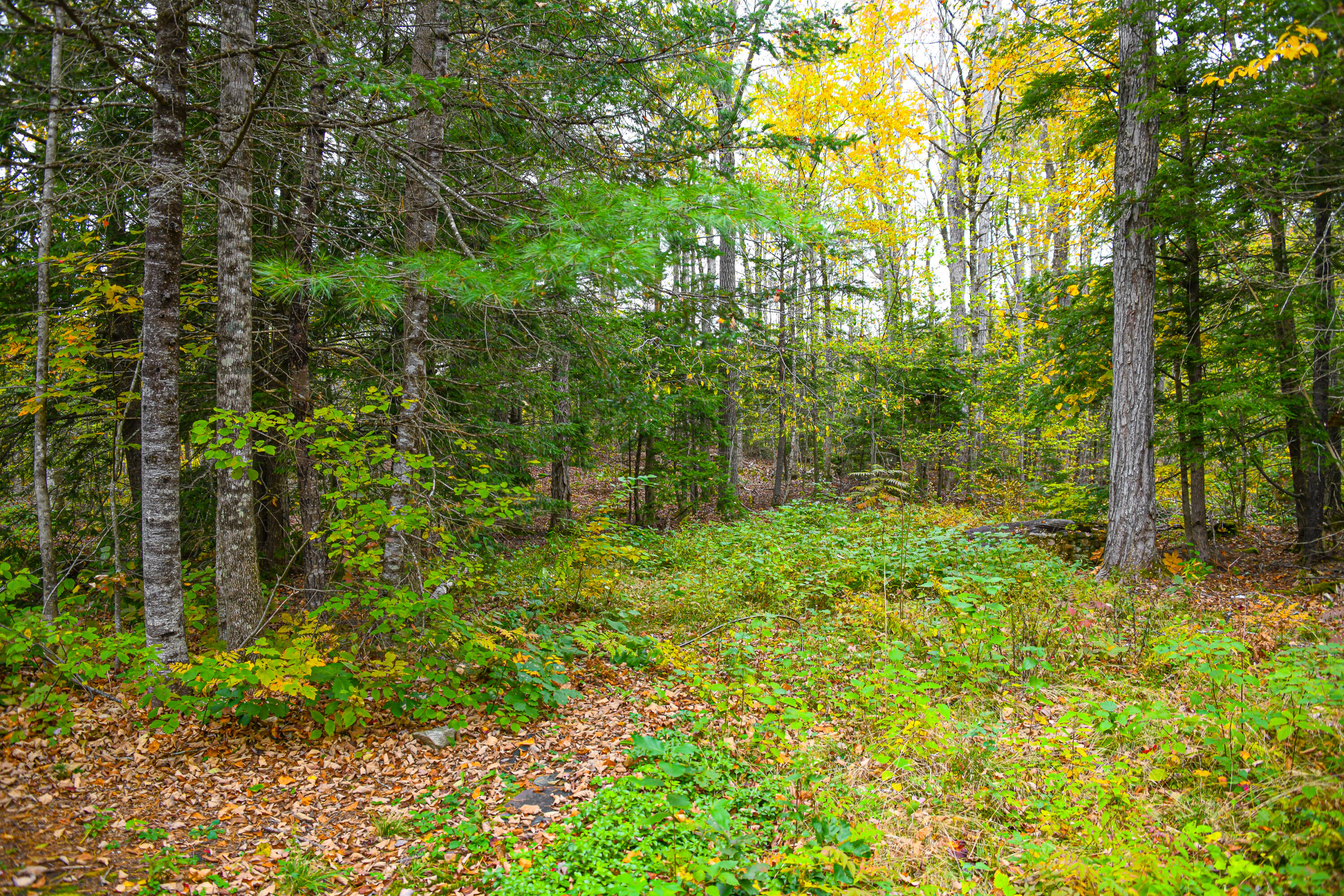 261 Hut Road Stoneham, ME 04231 - Photo 30 of 55 261 hut road-25