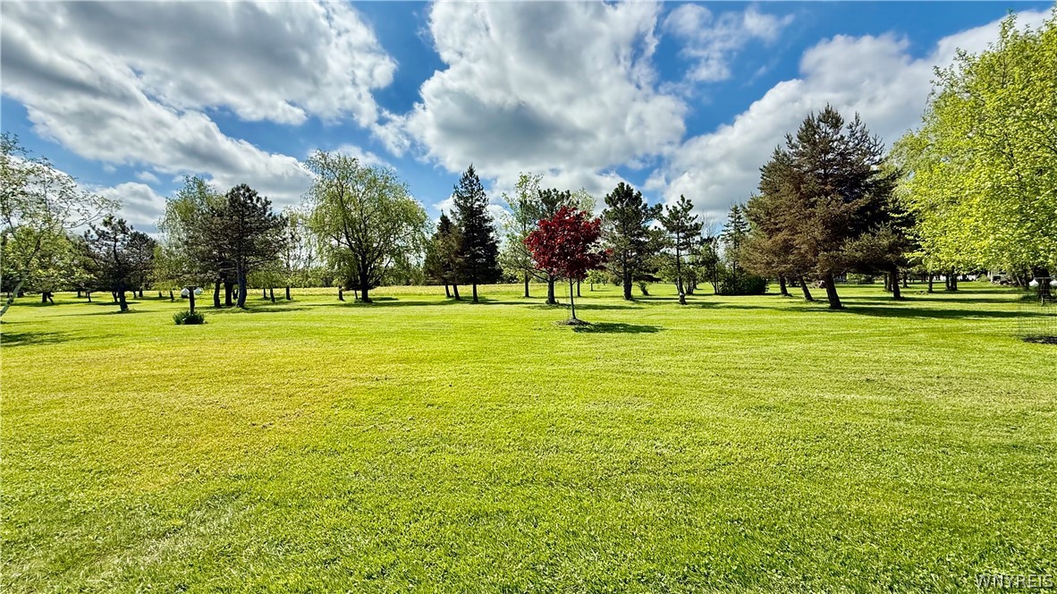 6975 Sweetland Road Evans, NY 14047 - Photo 37 of 42