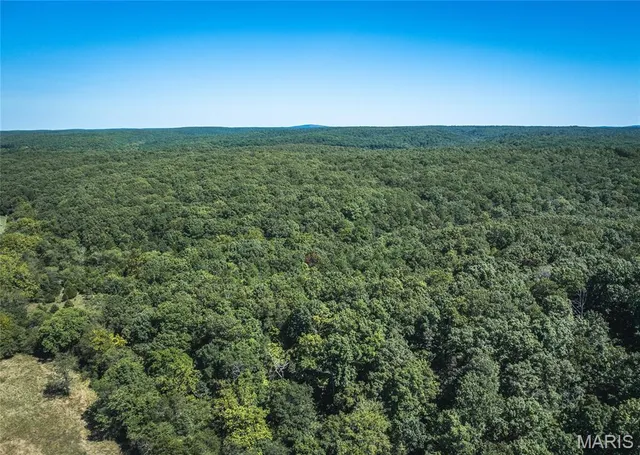 $1 | 4263 County Road 1, Belleview, MO 63623