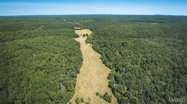 $1 | 4263 County Road 1, Belleview, MO 63623