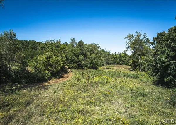 $800,000 | 4263 County Road 1, Steelville, MO 65565