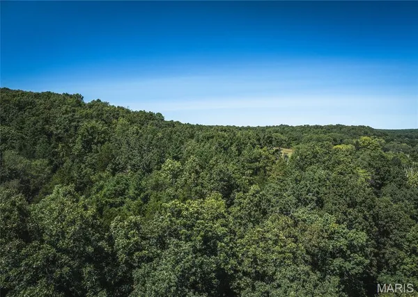 $800,000 | 4263 County Road 1, Steelville, MO 65565