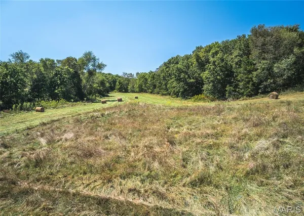 $800,000 | 4263 County Road 1, Steelville, MO 65565