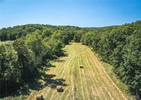 $1 | 4263 County Road 1, Steelville, MO 65565