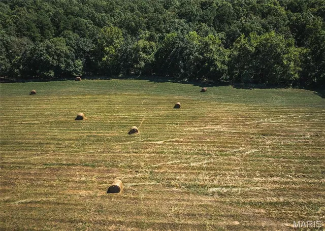 $1 | 4263 County Road 1, Belleview, MO 63623