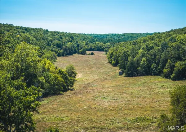 $1 | 4263 County Road 1, Steelville, MO 65565