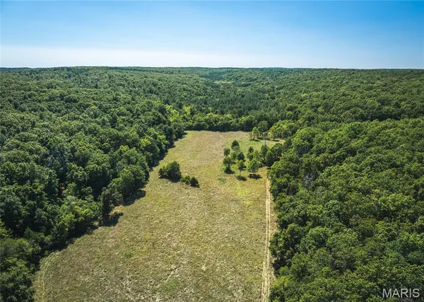 $800,000 | 4263 County Road 1, Steelville, MO 65565