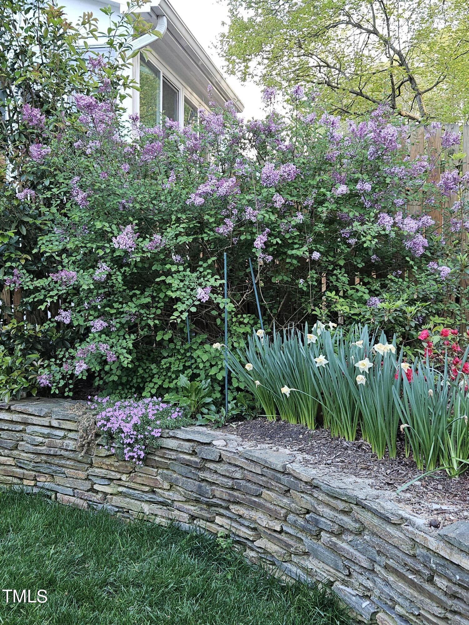 6601 Arbor Grande Way Raleigh, NC 27615 - Photo 44 of 48 44 Garden Wall