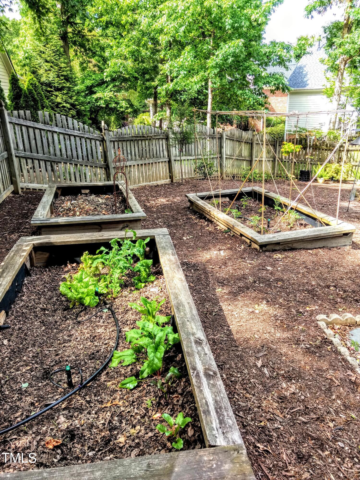 6601 Arbor Grande Way Raleigh, NC 27615 - Photo 45 of 48 45 Rose Beds