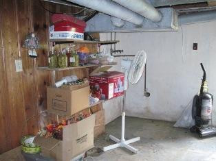 2165 Grapevine Road Harrodsburg, KY 40330 - Photo 10 of 15 Basement 2