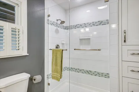 a bathroom with a shower and a toilet