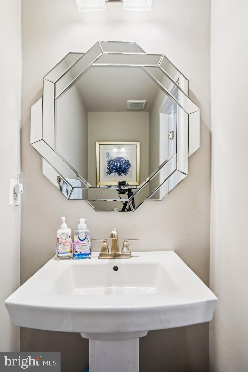 6126 Dock Street Frederick, MD 21703 - Photo 16 of 30 a bathroom with a sink and a mirror