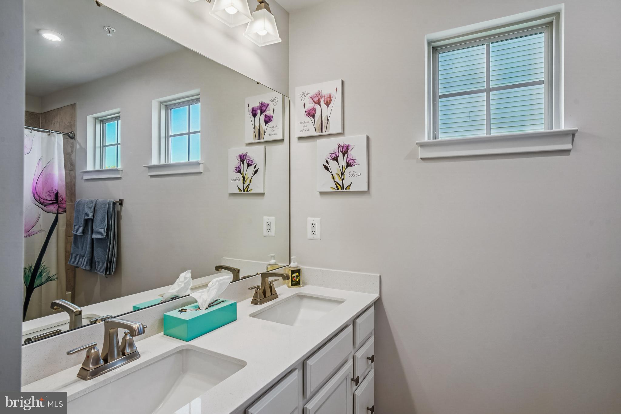 6126 Dock Street Frederick, MD 21703 - Photo 24 of 30 a bathroom with a sink vanity and a mirror
