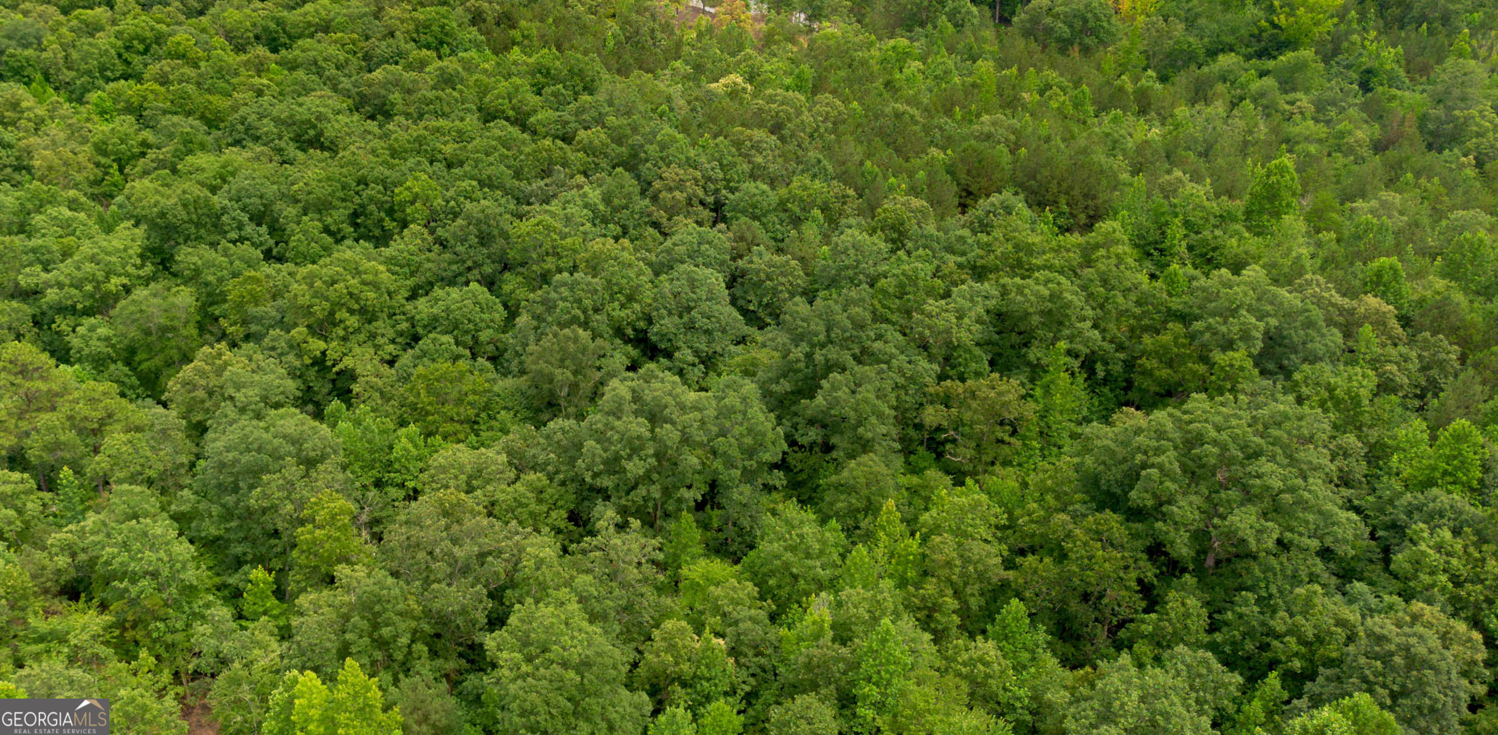 0 Vinyard Fruithurst, AL 36262 - Photo 6 of 8