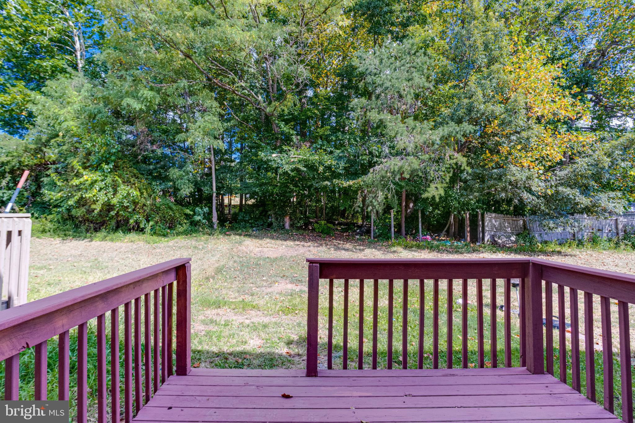 182 East Village Road Elkton, MD 21921 - Photo 39 of 42 Serene backyard retreat with lush greenery.