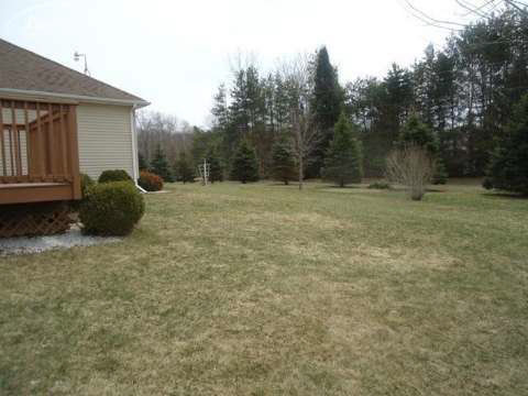 11339 North Webster Road Clio, MI 48420 - Photo 44 of 48 20397642-43.JPG