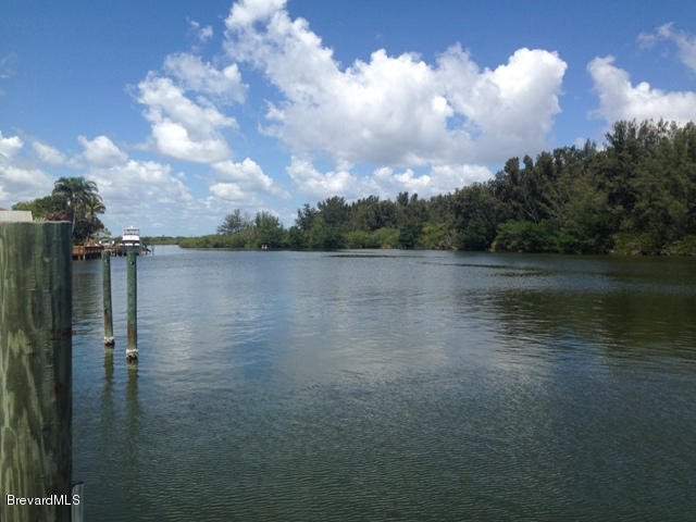 a view of a lake in middle of forest