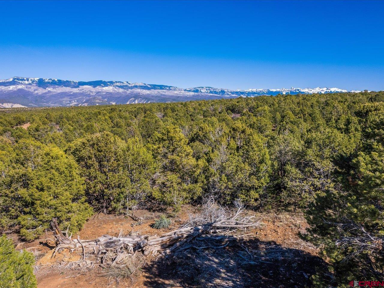 Tbd Pinon Ridge Road Montrose, CO 81403 - Photo 4 of 11