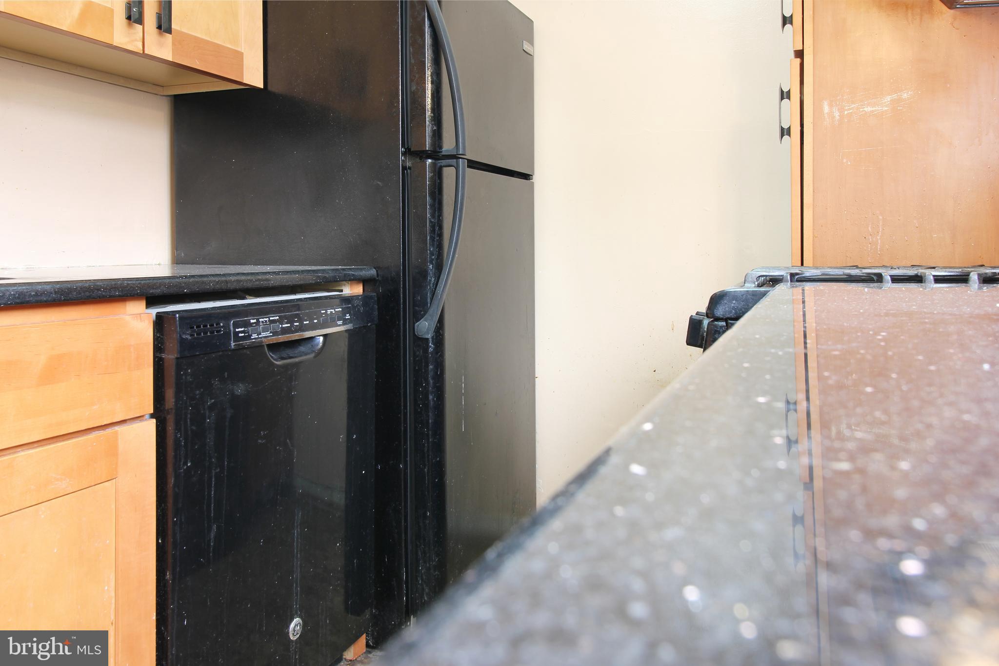 4731 1st Street Southwest, Unit 303 Washington, DC 20032 - Photo 3 of 9