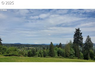 4915 Southeast Hill Road Milwaukie, OR 97267 - Photo 2 of 2 a black and white photo of a field
