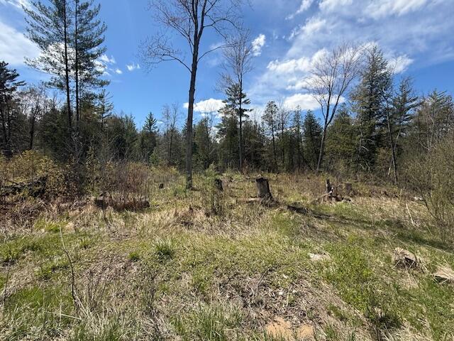 735 North Lakola Road Leroy, MI 49655 - Photo 2 of 15 IMG_5914