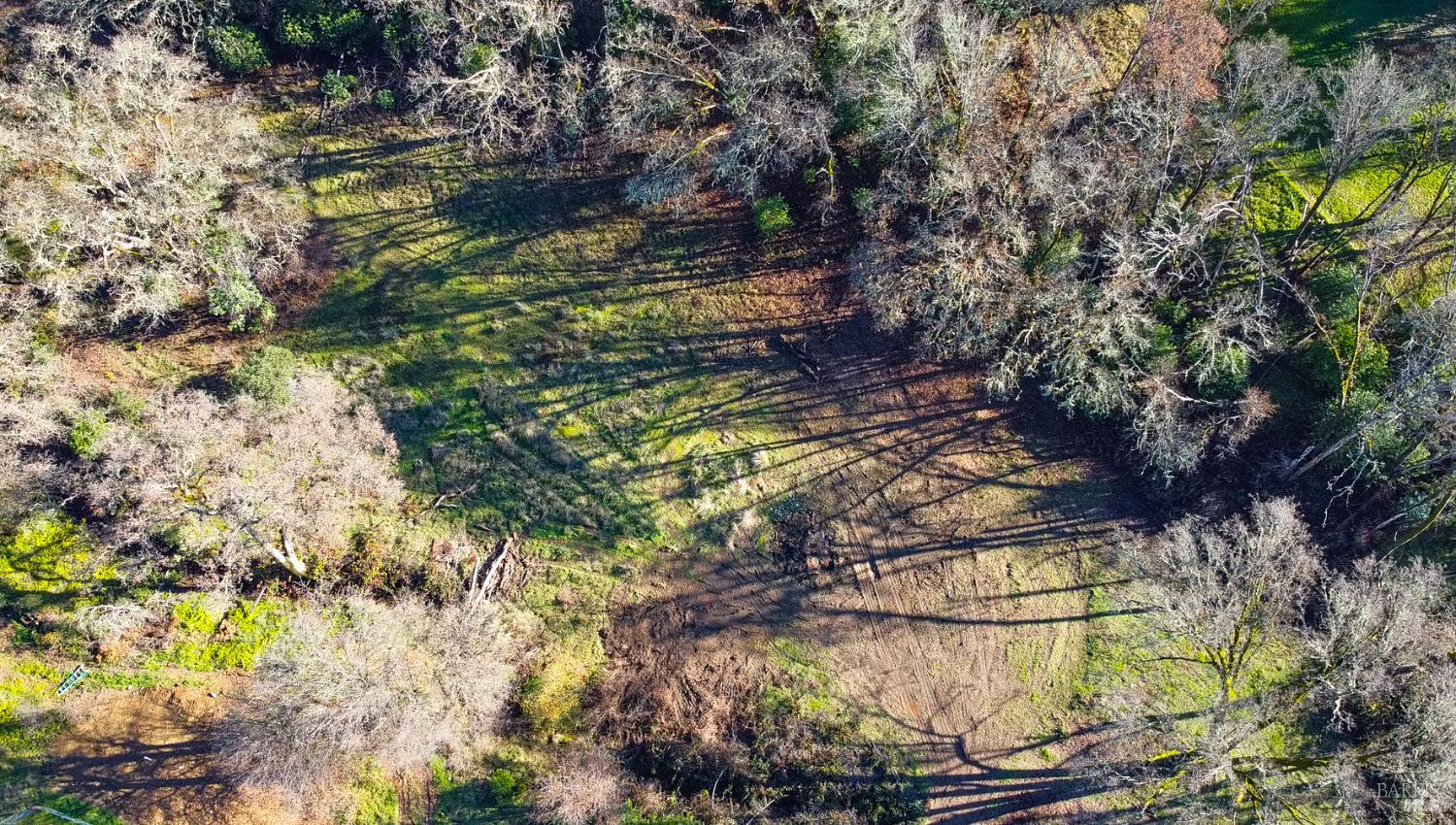 10379 West Road Redwood Valley, CA 95470 - Photo 11 of 14 a view of a yard