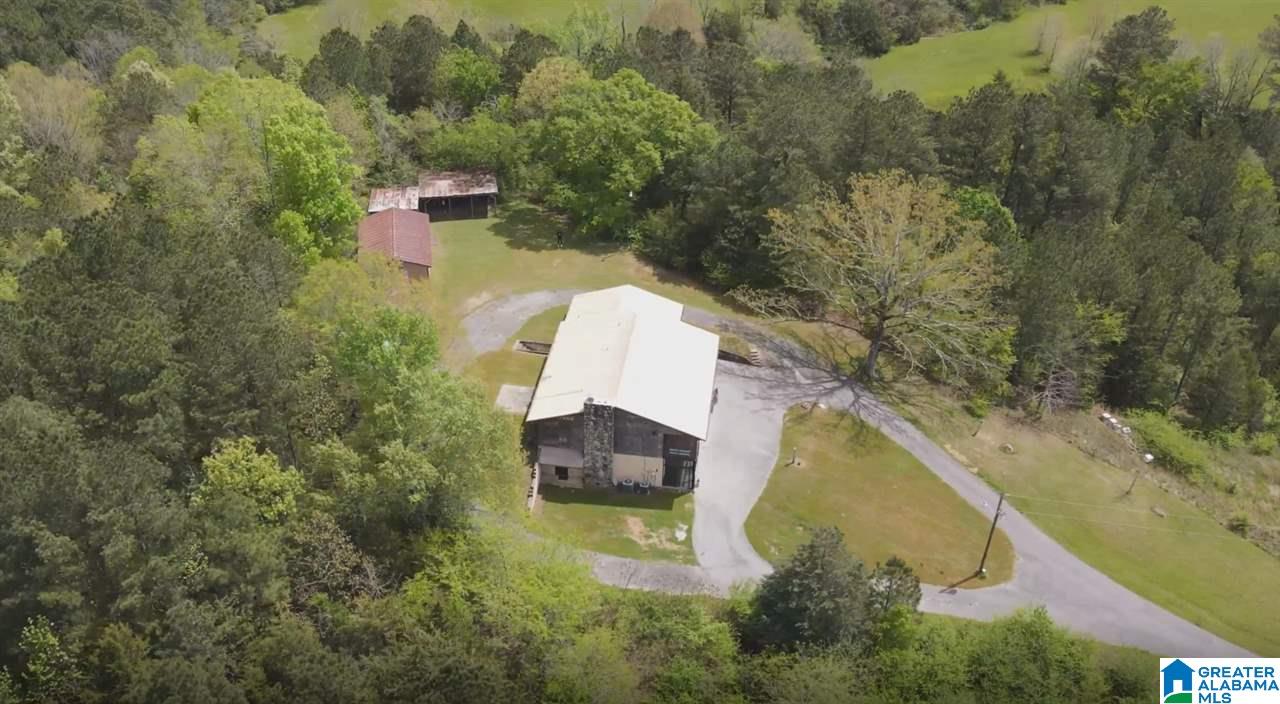 1391 Holland Finley Road Jacksonville, AL 36265 - Photo 1 of 40