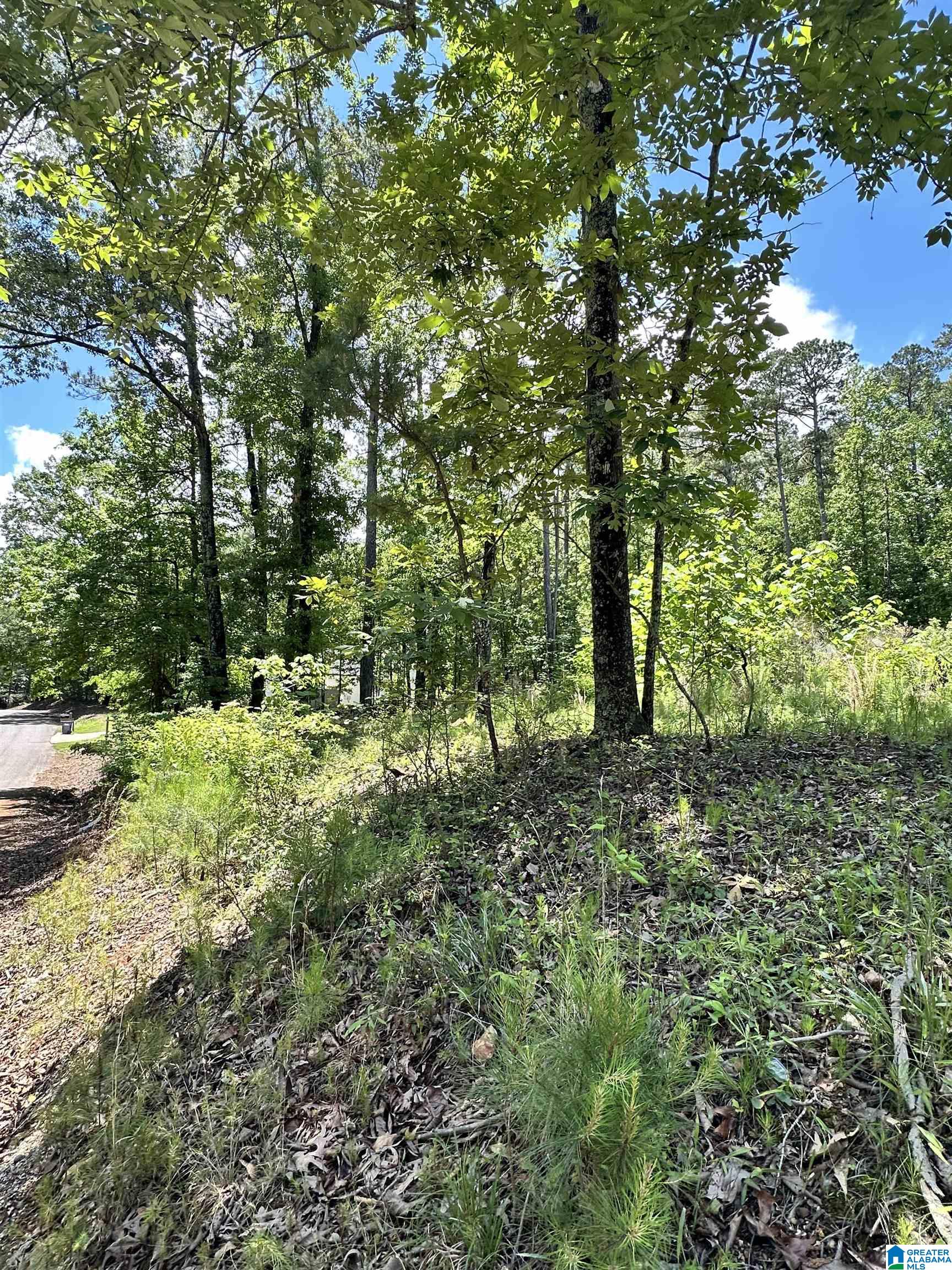 350 Black Acres Road, Unit 11 Cropwell, AL 35054 - Photo 13 of 16