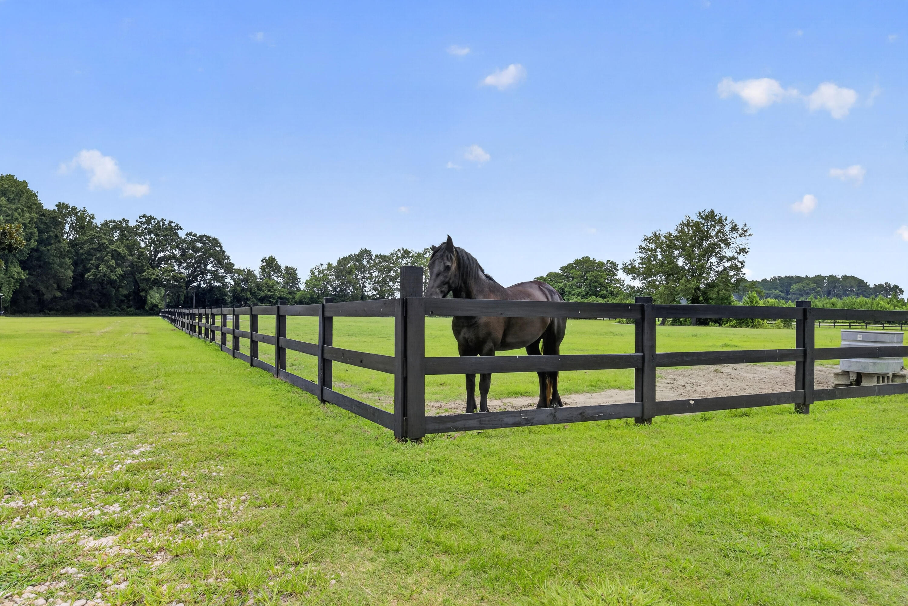 294 Nates Store Road Cameron, SC 29030 - Photo 11 of 41 Fenced Pasture