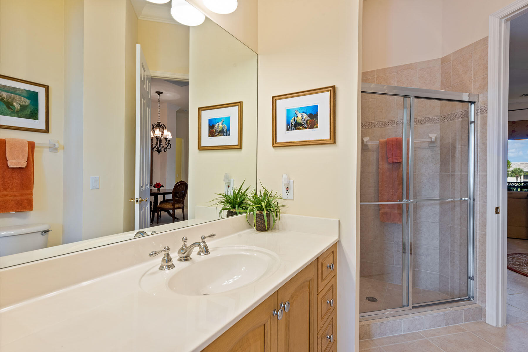9259 Museo Circle, Unit 203 Naples, FL 34114 - Photo 17 of 46 a bathroom with a sink and a mirror