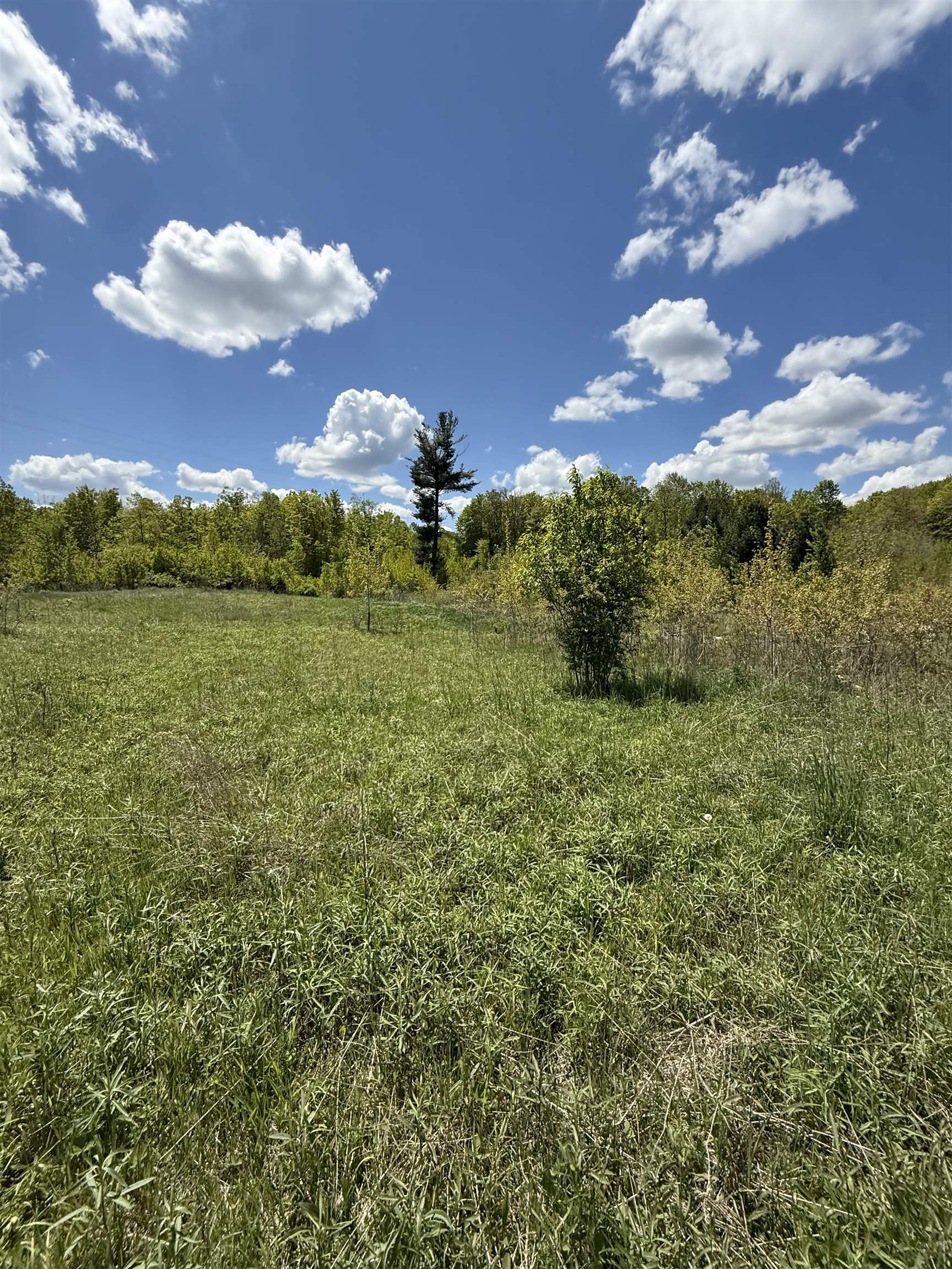 19 Mile Road Kingsley, MI 49649 - Photo 28 of 30