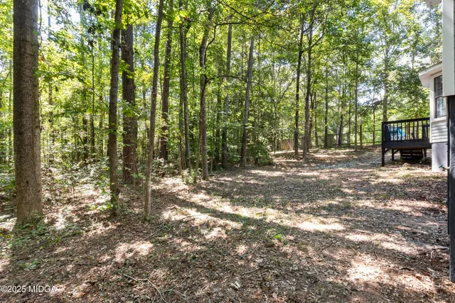 a view of outdoor space with deck and tree