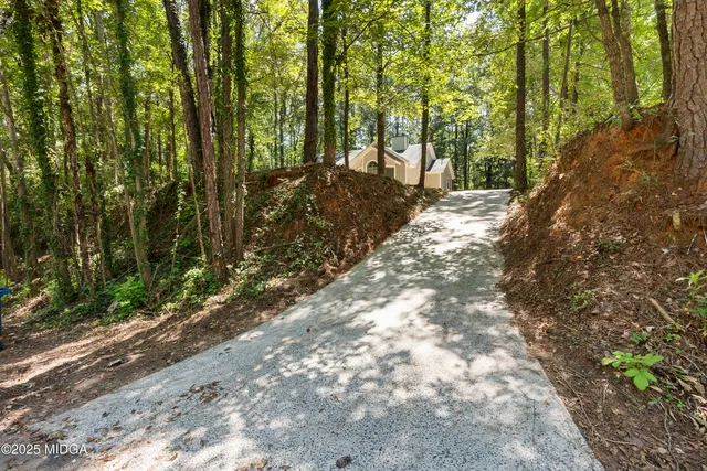 a view of a yard with plants and trees