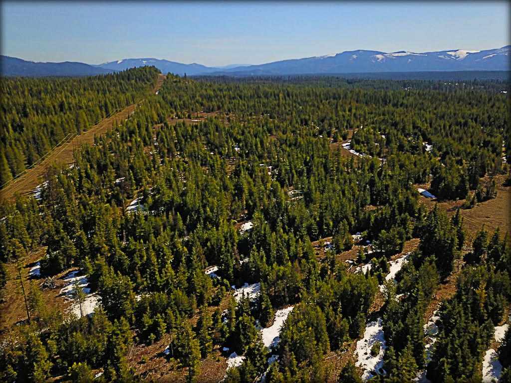 Tbd #b Gray Road Newport, WA 99156 - Photo 1 of 11 Gallery Image 1