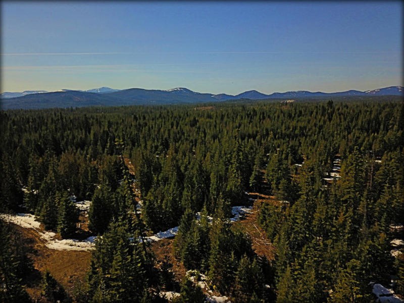 Tbd #b Gray Road Newport, WA 99156 - Photo 11 of 11 Gallery Image 11