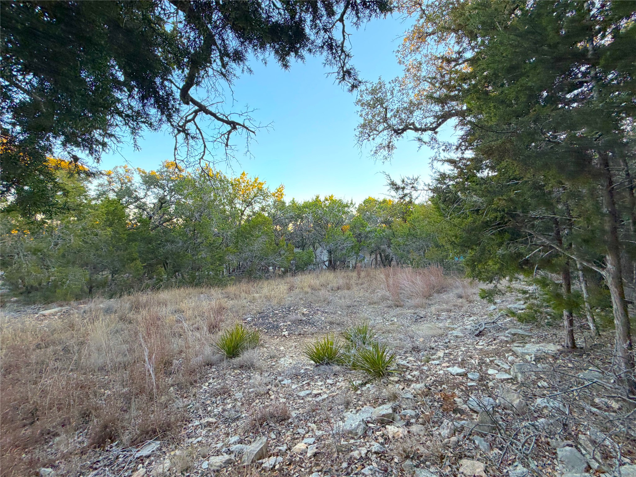 209 Legacy Ridge Canyon Lake, TX 78133 - Photo 6 of 12 View of woods