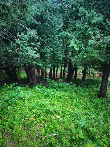 $399,000 | 0 Vanornum Road, Marengo, WI 54855