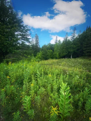 $399,000 | 0 Vanornum Road, Marengo, WI 54855