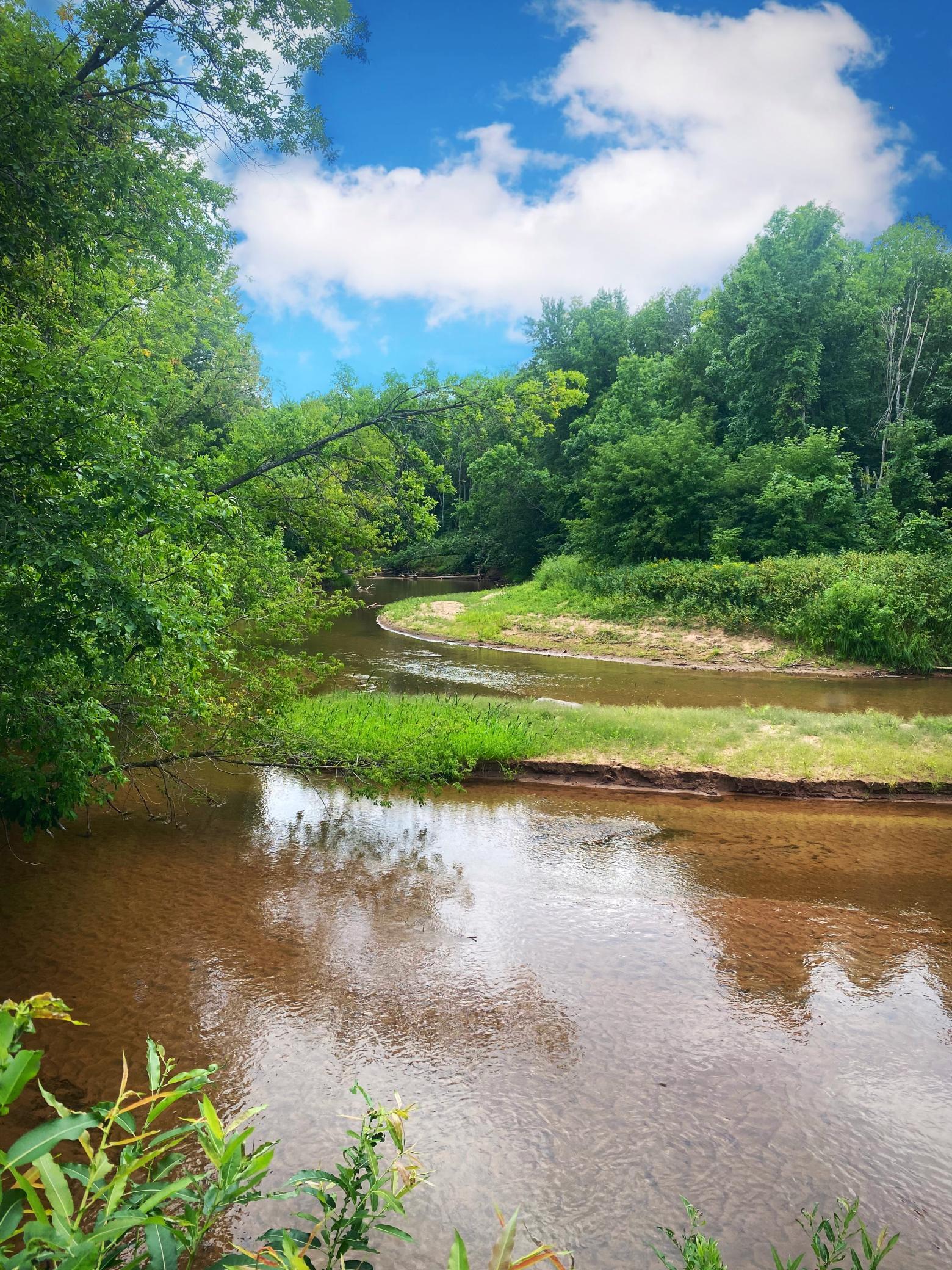 0 Vanornum Road Marengo, WI 54855 - Photo 5 of 10