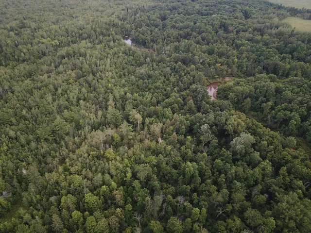 $399,000 | 0 Vanornum Road, Marengo, WI 54855