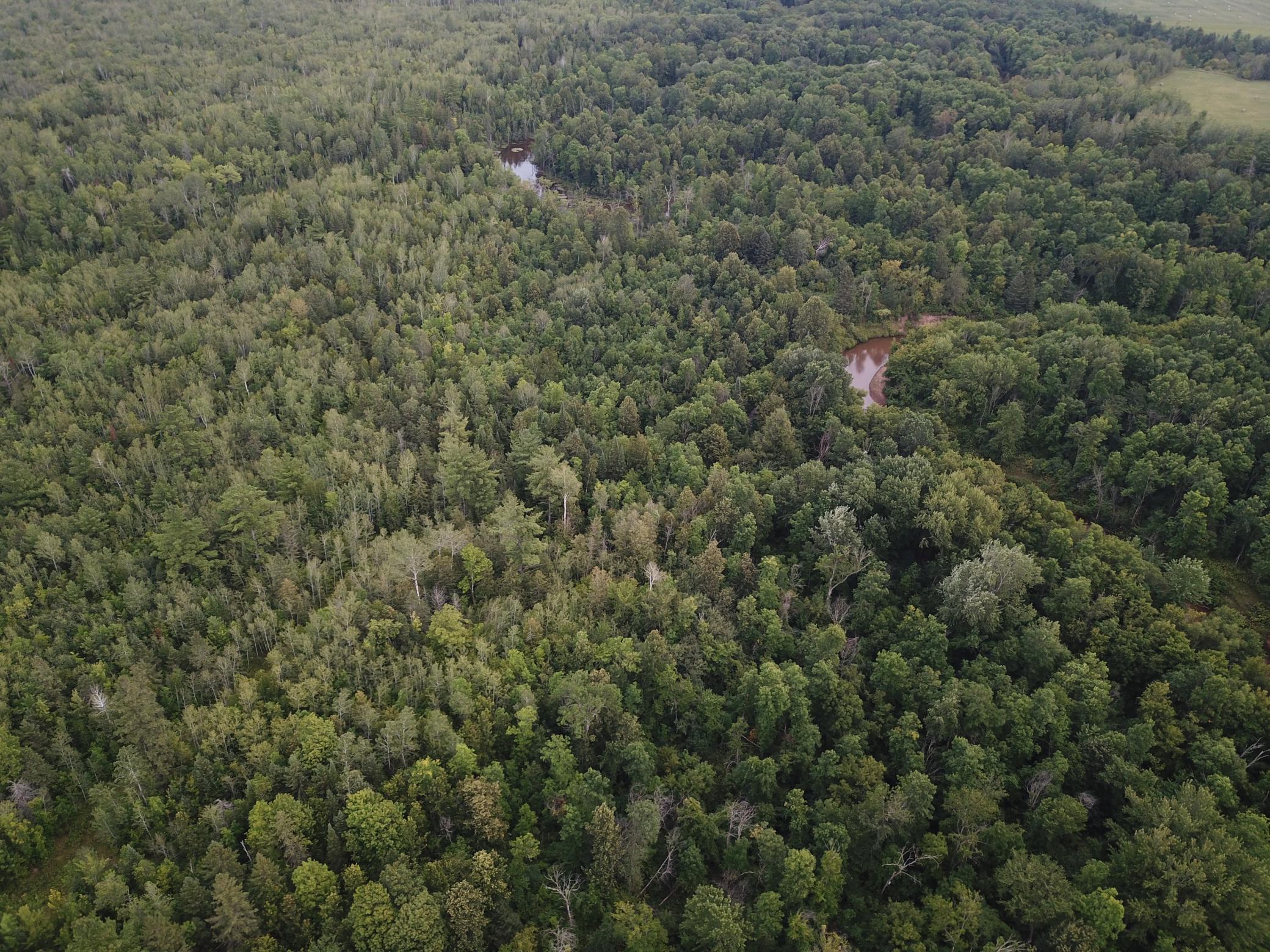 0 Vanornum Road Marengo, WI 54855 - Photo 8 of 10