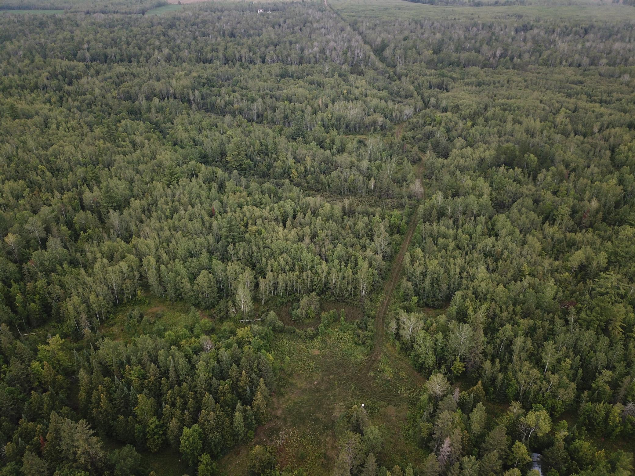 0 Vanornum Road Marengo, WI 54855 - Photo 10 of 10