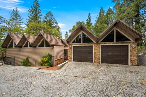a view of a park with of plants and trees