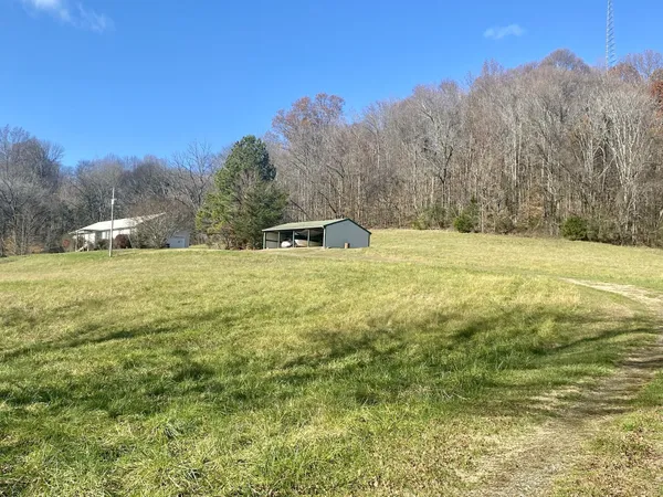 a view of a field with trees in the background