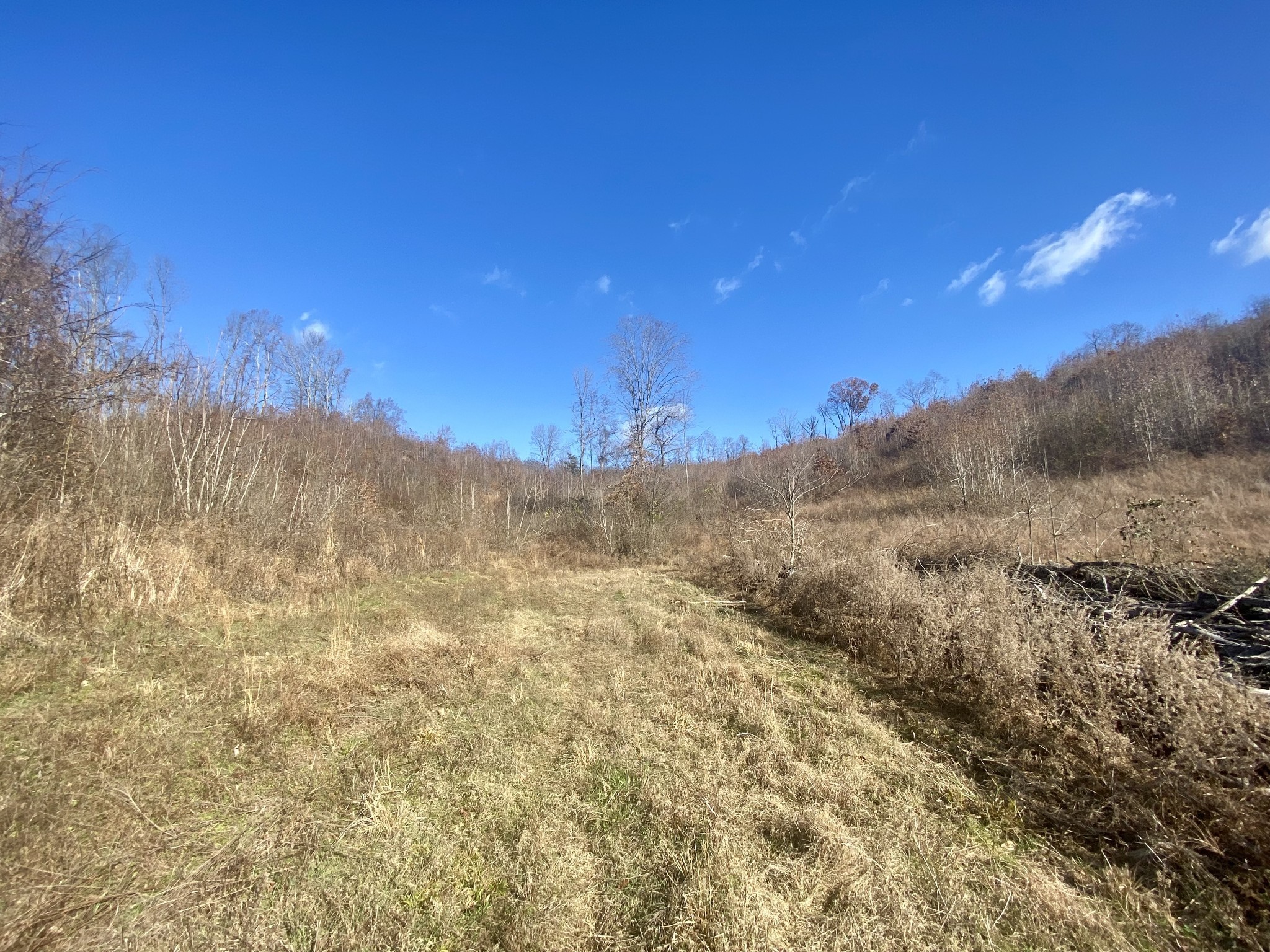 4570 Highway 64 Pulaski, TN 38478 - Photo 15 of 31 a view of a dry yard with mountains in the background
