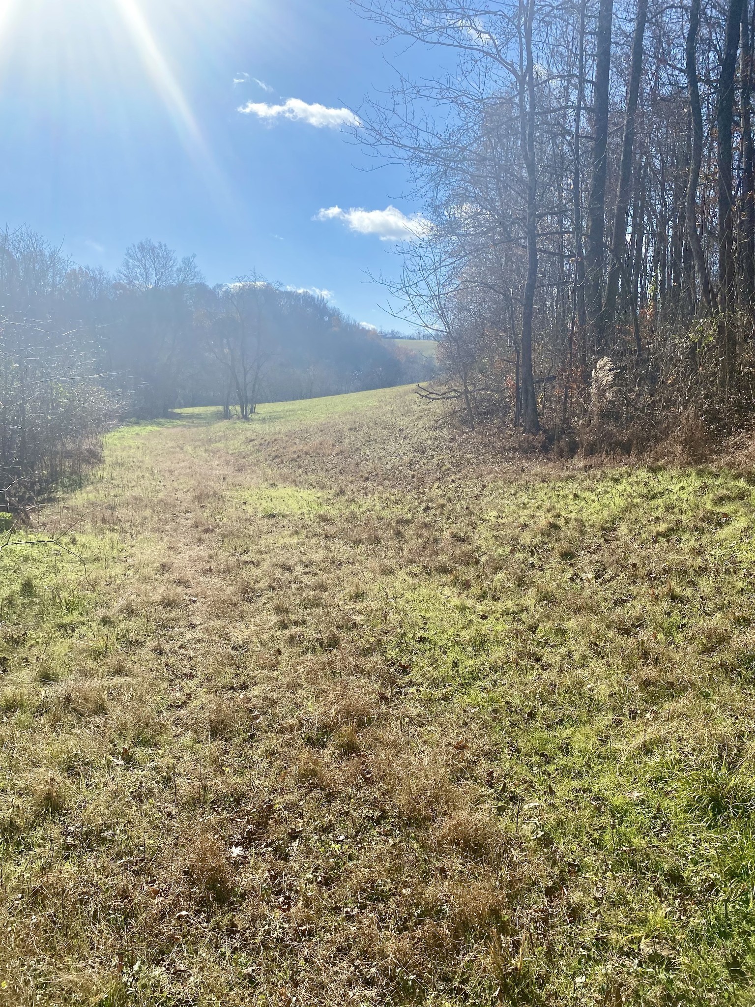 4570 Highway 64 Pulaski, TN 38478 - Photo 16 of 31