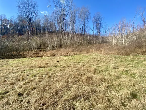 a view of a yard with trees in the background